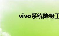 vivo系统降级工具（ios8降级）