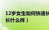 12岁女生如何快速长高（12岁女生的小兔子长什么样）