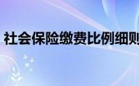 社会保险缴费比例细则（社会保险缴费比例）