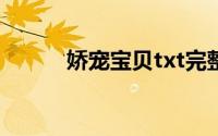 娇宠宝贝txt完整版（娇宠宝贝）