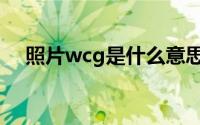 照片wcg是什么意思（wcg是什么意思）