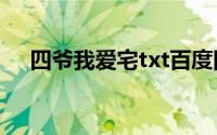 四爷我爱宅txt百度网盘（四爷 我爱宅）