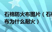 石棉防火布图片（石棉布真的可以防火吗石棉布为什么耐火）