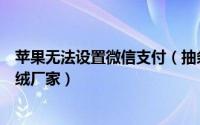 苹果无法设置微信支付（抽条天鹅绒去哪里找柯桥抽条天鹅绒厂家）