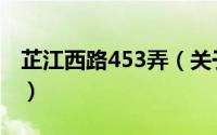 芷江西路453弄（关于芷江西路453弄的简介）