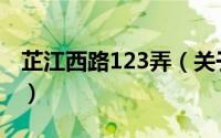 芷江西路123弄（关于芷江西路123弄的简介）