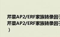 芹菜AP2/ERF家族转录因子表达调控及复制进化研究（关于芹菜AP2/ERF家族转录因子表达调控及复制进化研究的简介）