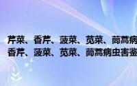 芹菜、香芹、菠菜、苋菜、茼蒿病虫害鉴别与防治技术图解（关于芹菜、香芹、菠菜、苋菜、茼蒿病虫害鉴别与防治技术图解的简介）