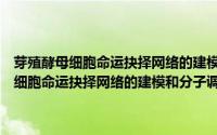 芽殖酵母细胞命运抉择网络的建模和分子调控机制研究（关于芽殖酵母细胞命运抉择网络的建模和分子调控机制研究的简介）