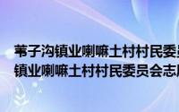 苇子沟镇业喇嘛土村村民委员会志愿服务团队（关于苇子沟镇业喇嘛土村村民委员会志愿服务团队的简介）