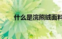 什么是浣熊绒面料（什么是浣熊绒）