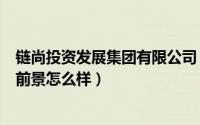 链尚投资发展集团有限公司（链尚网这个公司怎么样链尚网前景怎么样）