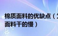 棉质面料的优缺点（为什么棉质的料子比化纤面料干的慢）