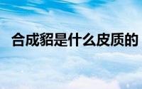 合成貂是什么皮质的（什么是合成貂面料）