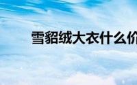 雪貂绒大衣什么价格（雪貂绒好吗）