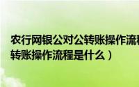 农行网银公对公转账操作流程是什么意思（农行网银公对公转账操作流程是什么）