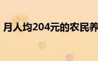 月人均204元的农民养老金发挥着什么作用？