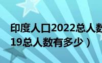 印度人口2022总人数口是多少（印度人口2019总人数有多少）