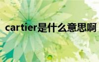 cartier是什么意思啊（cartier是什么意思）