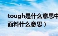 tough是什么意思中文翻译（迪桑特tough面料什么意思）