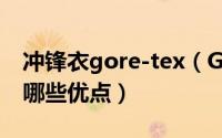 冲锋衣gore-tex（GORE-TEX面料冲锋衣有哪些优点）