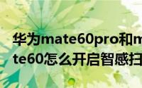 华为mate60pro和mate60的区别（华为Mate60怎么开启智感扫码