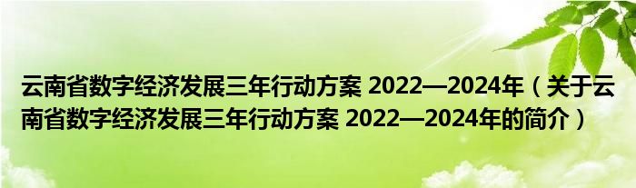 云南省数字经济发展三年行动方案 2022—2024年（关于云南省数字经济发展三年行动方案 2022—2024年的简介）