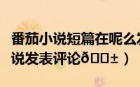 番茄小说短篇在呢么发表（番茄小说如何对小说发表评论