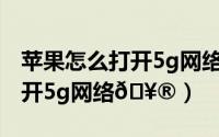 苹果怎么打开5g网络（iphone15pro怎么打开5g网络