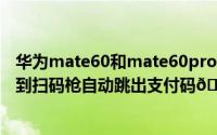 华为mate60和mate60pro区别（华为Mate60如何设置碰到扫码枪自动跳出支付码