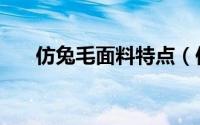 仿兔毛面料特点（仿兔毛面料叫什么）