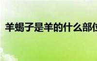 羊蝎子是羊的什么部位？多少钱一斤2023？