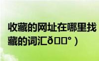 收藏的网址在哪里找（网易有道词如何查看收藏的词汇