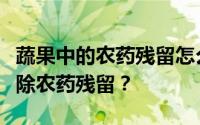 蔬果中的农药残留怎么检验？在家如何有效去除农药残留？