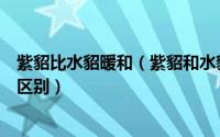 紫貂比水貂暖和（紫貂和水貂皮一样吗紫貂和水貂皮有什么区别）