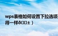 wps表格如何设置下拉选项（​wps表格如何将下拉内容变得一样