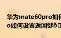 华为mate60pro如何预约（华为Mate60Pro如何设置返回键