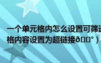 一个单元格内怎么设置可筛选内容（​Excel表格如何将单元格内容设置为超链接