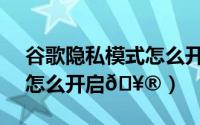 谷歌隐私模式怎么开启（flyme10隐私模式怎么开启