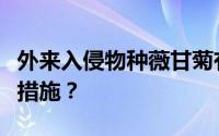 外来入侵物种薇甘菊有哪些危害？有哪些防控措施？