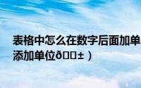 表格中怎么在数字后面加单位（excel怎么给数字后面批量添加单位