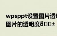 wpsppt设置图片透明度（wpsppt怎么设置图片的透明度