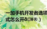 一加手机开发者选项在哪（一加12开发者模式怎么开