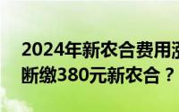 2024年新农合费用涨到了380元！农民开始断缴380元新农合？