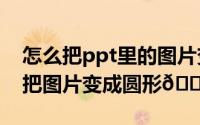 怎么把ppt里的图片变成圆形（Drawio如何把图片变成圆形