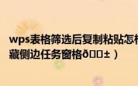 wps表格筛选后复制粘贴怎样跳过隐藏行（Wps表格如何隐藏侧边任务窗格