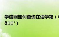 学信网如何查询在读学籍（学信网如何查询自己的学籍信息