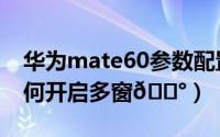 华为mate60参数配置详细（华为mate60如何开启多窗