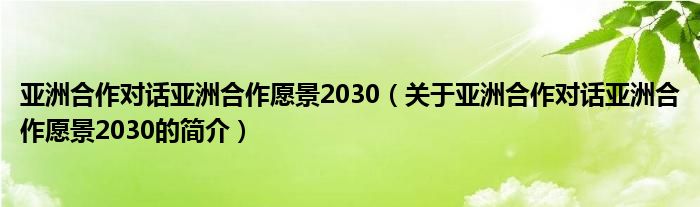 亚洲合作对话亚洲合作愿景2030（关于亚洲合作对话亚洲合作愿景2030的简介）