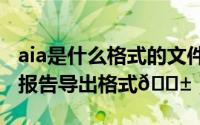 aia是什么格式的文件（aida64在哪设置检测报告导出格式